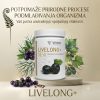 LIVELONG+